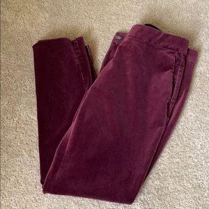 Velvet dress pants